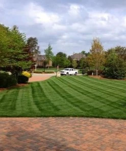 Brighter Blooms Lesco All Pro Transition Blend Grass Seed Erosion Control Plants