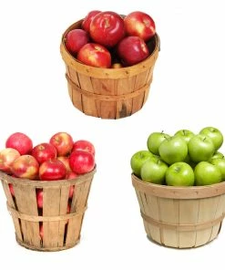 Brighter Blooms 3 In 1 Apple Tree Fruit Trees