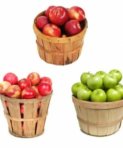 Brighter Blooms 3 In 1 Apple Tree Fruit Trees