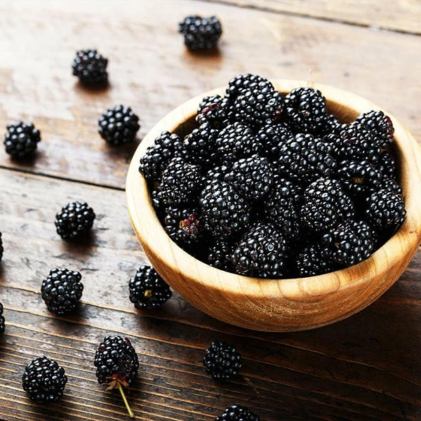 Brighter Blooms 3-in-1 Blackberry Bush 1 Brighter Blooms 3-in-1 Blackberry Bush