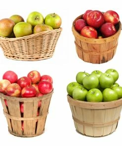 Brighter Blooms 4-in-1 Apple Tree