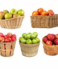 Brighter Blooms 5-in-1 Apple Tree Fruit Trees