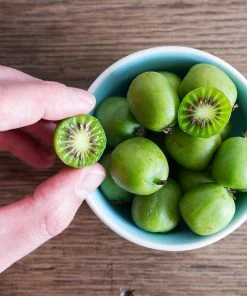 Brighter Blooms Fruit Trees Anna & Meader Kiwi Vine Pollination Pack