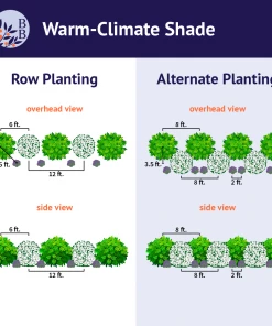 Brighter Blooms Warm-Climate Shade Garden Kit Shrubs & Hedges