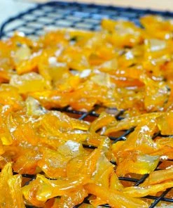 Brighter Blooms Buddha's Hand Citron Tree