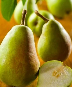 Brighter Blooms Pear Trees Bartlett Pear Tree 6 Brighter Blooms Pear Trees Bartlett Pear Tree