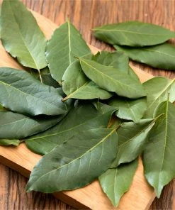 Brighter Blooms Bay Laurel Evergreen & Privacy