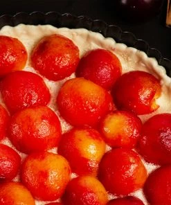 Brighter Blooms Bubblegum 'Toka' Plum Tree