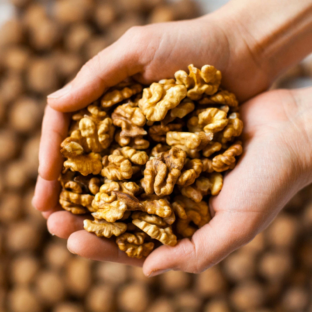 Brighter Blooms Chandler Walnut Tree Fruit Trees 4 Brighter Blooms Chandler Walnut Tree Fruit Trees