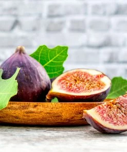 Brighter Blooms Chicago Hardy Fig Tree Fruit Trees