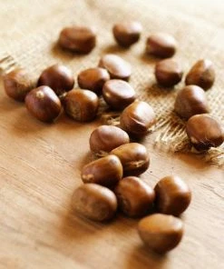 Brighter Blooms Chinese Chestnut Tree 7 Brighter Blooms Chinese Chestnut Tree