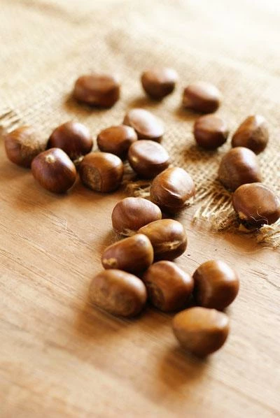 Brighter Blooms Chinese Chestnut Tree 4 Brighter Blooms Chinese Chestnut Tree