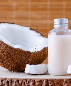 BrighterBlooms.com Palm Trees Coconut Palm Tree