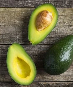 Brighter Blooms Cold Hardy Avocado Tree Fruit Trees