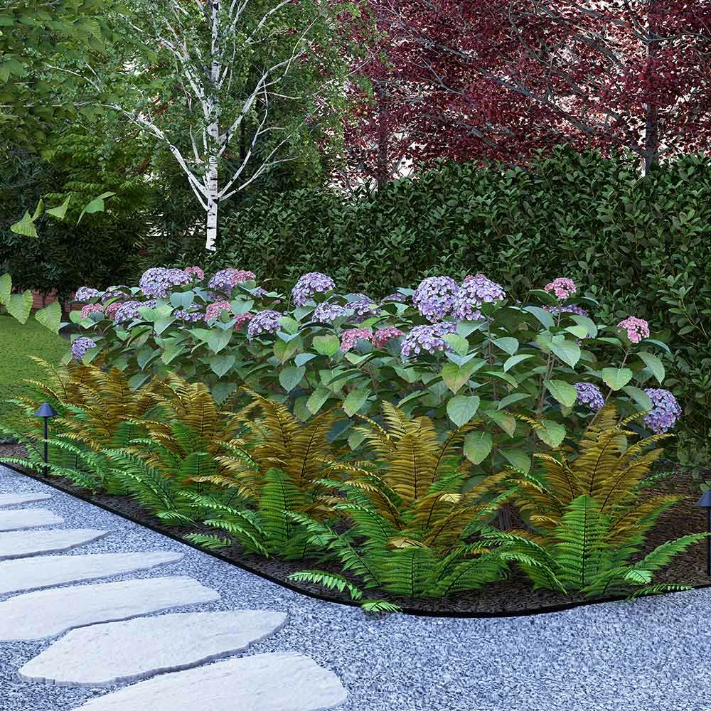 Brighter Blooms Shrubs & Hedges Cool-Climate Shade Garden Kit 2 Brighter Blooms Shrubs & Hedges Cool-Climate Shade Garden Kit