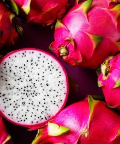 Brighter Blooms Dragon Fruit Cactus SHOP ALL