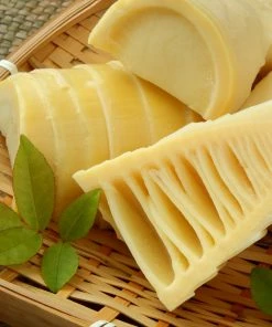 Brighter Blooms Evergreen & Privacy Edible Bamboo Plant