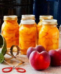 Brighter Blooms Elberta Peach Tree Fruit Trees