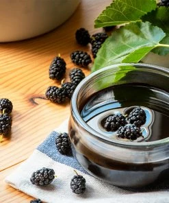 Brighter Blooms Everbearing Mulberry Tree Fruit Trees