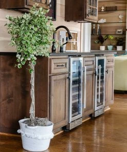 Brighter Blooms Variegated Ficus Triangularis Tree SHOP ALL