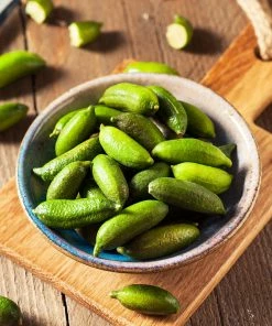 Brighter Blooms New Trees Australian Finger Lime Tree 8 Brighter Blooms New Trees Australian Finger Lime Tree