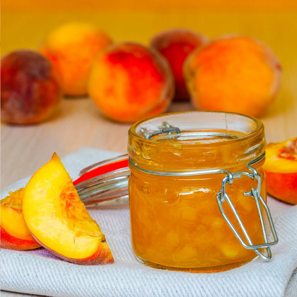 Brighter Blooms Fruit Trees Frost Proof Peach Tree 4 Brighter Blooms Fruit Trees Frost Proof Peach Tree