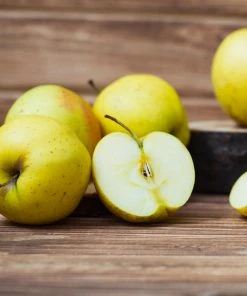 Brighter Blooms Golden Sentinel Columnar Apple Tree Fruit Trees