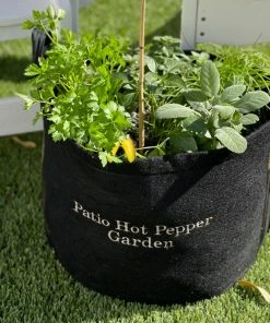 Brighter Blooms Patio Hot Pepper Garden House & Patio
