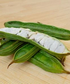 Brighter Blooms Ice Cream Bean Tree 7 Brighter Blooms Ice Cream Bean Tree