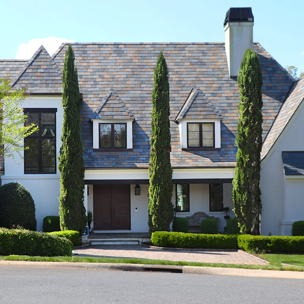 Brighter Blooms Italian Cypress Tree New Trees 2 Brighter Blooms Italian Cypress Tree New Trees