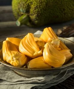 Brighter Blooms Jackfruit Tree Fruit Trees