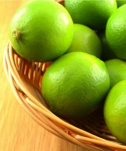 Brighter Blooms Key Lime Tree Fruit Trees 15 Brighter Blooms Key Lime Tree Fruit Trees