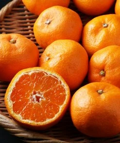 Brighter Blooms Kishu Mandarin Tree