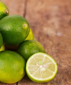 Brighter Blooms Limequat Tree New Trees