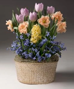 Brighter Blooms SHOP ALL Mother's Day Bulb Garden