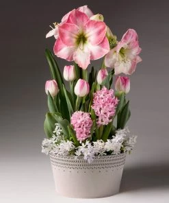 Brighter Blooms Purely Pink Bulb Garden