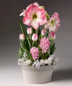 Brighter Blooms Purely Pink Bulb Garden