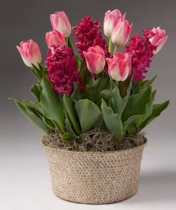 Brighter Blooms Gifts For Her Valentine’s Day Garden With Seagrass Pot