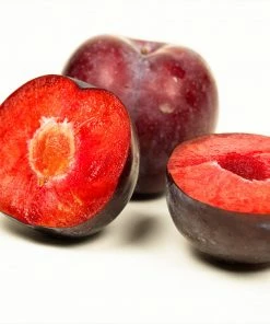 Brighter Blooms Fruit Trees Methley Plum Tree