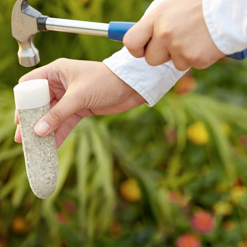 Brighter Blooms MiracleGro - Fruit & Citrus Spikes Fertilizers & Soil Additives 3 Brighter Blooms MiracleGro - Fruit & Citrus Spikes Fertilizers & Soil Additives