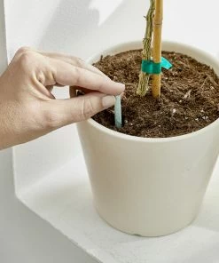 Brighter Blooms Fertilizers & Soil Additives MiracleGro - Houseplant Spikes 11 Brighter Blooms Fertilizers & Soil Additives MiracleGro - Houseplant Spikes