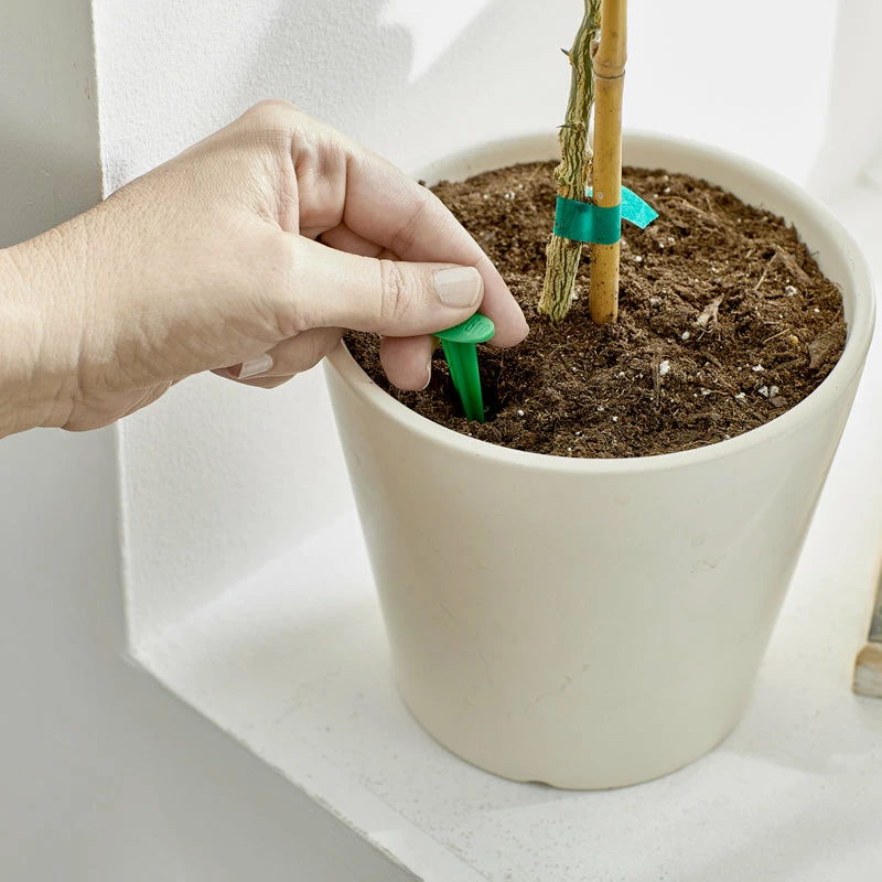 Brighter Blooms Fertilizers & Soil Additives MiracleGro - Houseplant Spikes 4 Brighter Blooms Fertilizers & Soil Additives MiracleGro - Houseplant Spikes