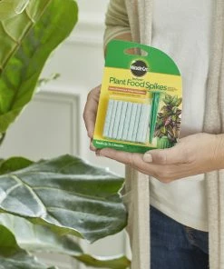 Brighter Blooms Fertilizers & Soil Additives MiracleGro - Houseplant Spikes 13 Brighter Blooms Fertilizers & Soil Additives MiracleGro - Houseplant Spikes