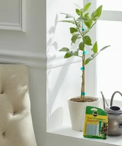 Brighter Blooms Fertilizers & Soil Additives MiracleGro - Houseplant Spikes 17 Brighter Blooms Fertilizers & Soil Additives MiracleGro - Houseplant Spikes