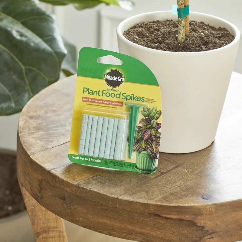 Brighter Blooms Fertilizers & Soil Additives MiracleGro - Houseplant Spikes 2 Brighter Blooms Fertilizers & Soil Additives MiracleGro - Houseplant Spikes