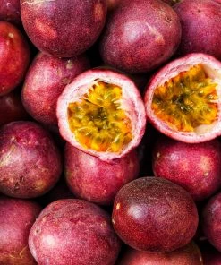 Brighter Blooms Nancy Garrison Passion Fruit Vine 7 Brighter Blooms Nancy Garrison Passion Fruit Vine