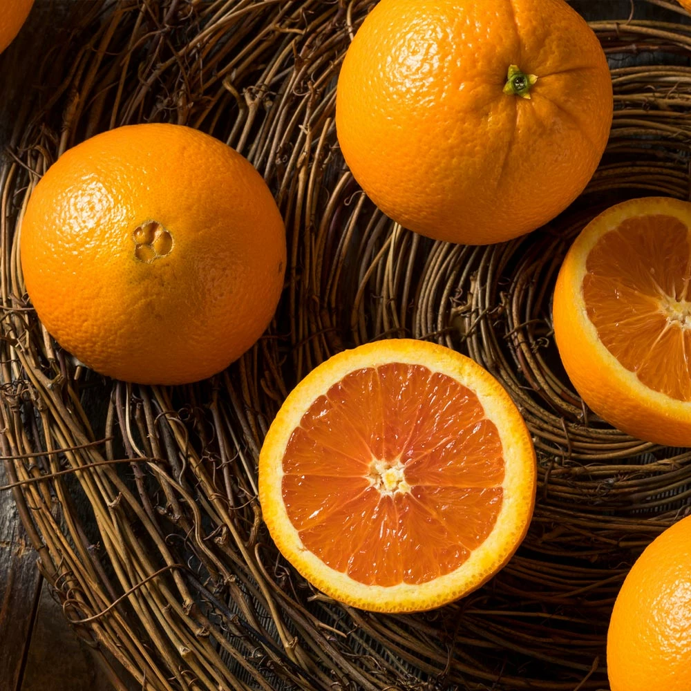 Brighter Blooms Navel Orange Tree 3 Brighter Blooms Navel Orange Tree