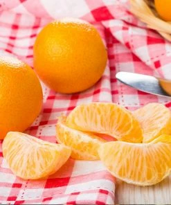 Brighter Blooms Navel Orange Tree 9 Brighter Blooms Navel Orange Tree