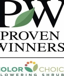 Brighter Blooms Oso Easy'® Hot Paprika Rose Roses