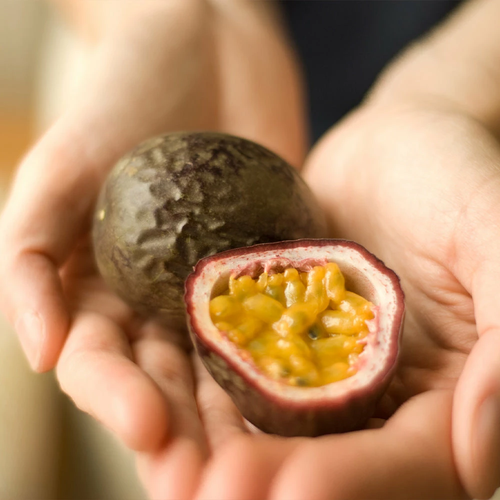 Brighter Blooms Passion Fruit Vine Fruit Trees 5 Brighter Blooms Passion Fruit Vine Fruit Trees